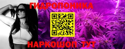 гидра Заволжье